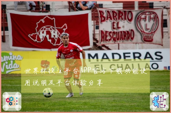 世界杯投注平台APP官方下载功能使用说明及平台体验分享