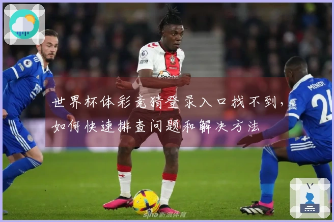 世界杯体彩竞猜登录入口找不到，如何快速排查问题和解决方法