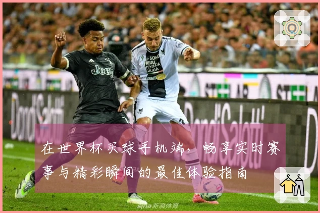 在世界杯买球手机端，畅享实时赛事与精彩瞬间的最佳体验指南