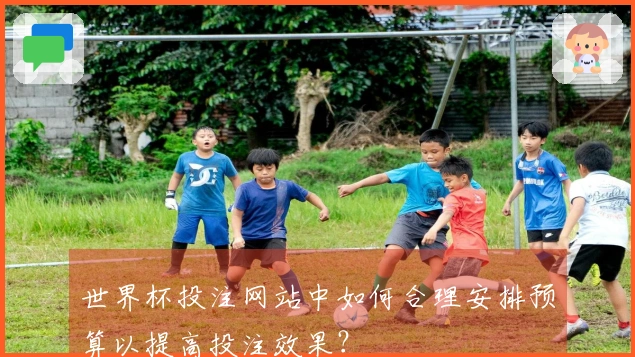 世界杯投注网站中如何合理安排预算以提高投注效果？