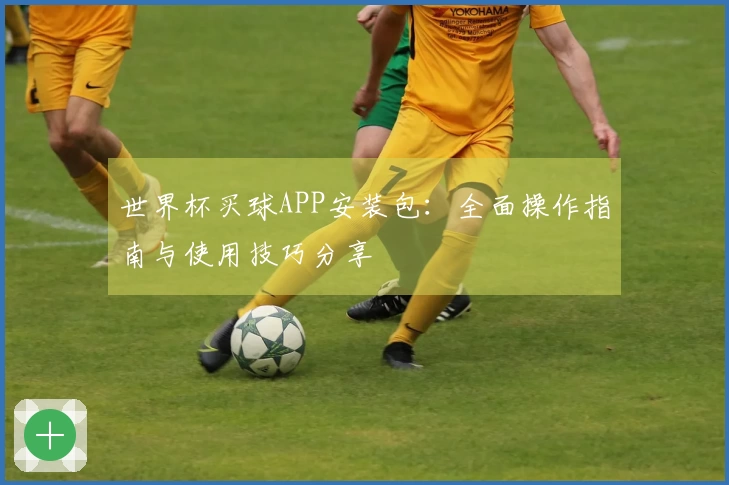 世界杯买球APP安装包：全面操作指南与使用技巧分享