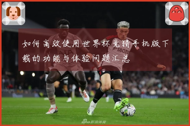 如何高效使用世界杯竞猜手机版下载的功能与体验问题汇总