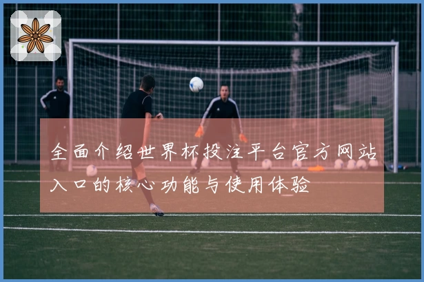 全面介绍世界杯投注平台官方网站入口的核心功能与使用体验