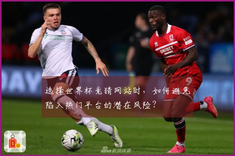 选择世界杯竞猜网站时，如何避免陷入热门平台的潜在风险？