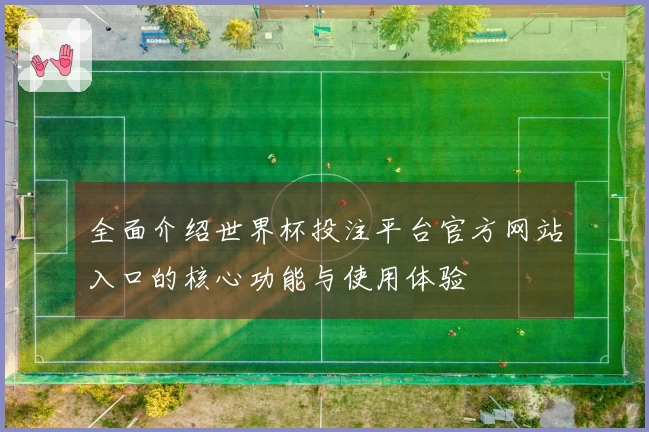 全面介绍世界杯投注平台官方网站入口的核心功能与使用体验