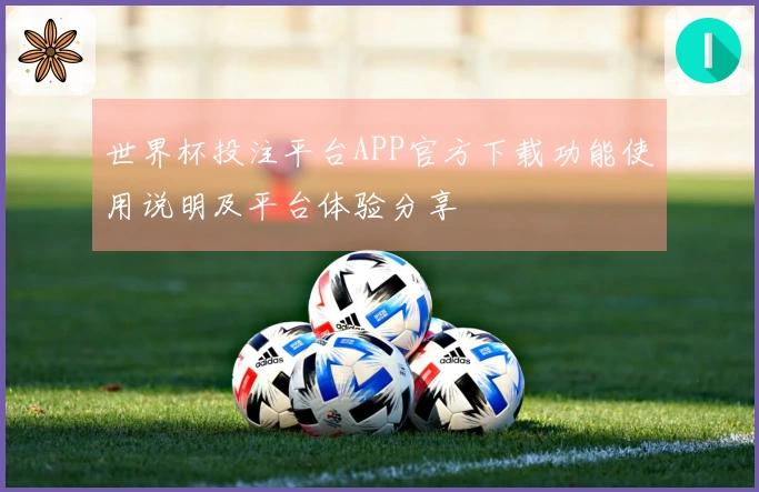 世界杯投注平台APP官方下载功能使用说明及平台体验分享
